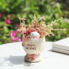 Chậu hoa và cây cảnh trang trí ban công thiết kế đơn giản sáng tạo giảm giá 20% 4