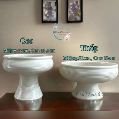 Chậu Không Lỗ Cây Thuỷ Sinh - Lọ Cắm Hoa, Chậu Thủy Tiên Giá 210.000 Giảm