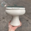 Chậu Không Lỗ Cây Thuỷ Sinh - Lọ Cắm Hoa, Chậu Thủy Tiên Giá 210.000 Giảm 5
