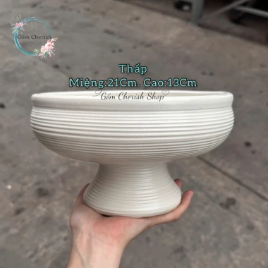 Chậu Không Lỗ Cây Thuỷ Sinh - Lọ Cắm Hoa, Chậu Thủy Tiên Giá 210.000 Giảm