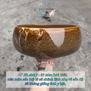 Chậu không lỗ trồng sen nước, cây cảnh, nuôi cá - Hạt dẻ lùn, giá chỉ 49.000₫ 10