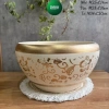 Chậu lan hồ điệp gốm vàng sang trọng, hoạ tiết vàng nhũ - giá chỉ 188.000đ | Living Decor