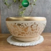 Chậu lan hồ điệp gốm vàng sang trọng, hoạ tiết vàng nhũ - giá chỉ 188.000đ | Living Decor 2