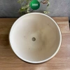 Chậu lan hồ điệp gốm vàng sang trọng, hoạ tiết vàng nhũ - giá chỉ 188.000đ | Living Decor 3