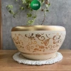 Chậu lan hồ điệp gốm vàng sang trọng, hoạ tiết vàng nhũ - giá chỉ 188.000đ | Living Decor 5