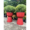 Chậu ly đế chưng cúc mâm xôi R30xC43cm - Giá gốc 185,600đ, Giảm còn 145,000đ