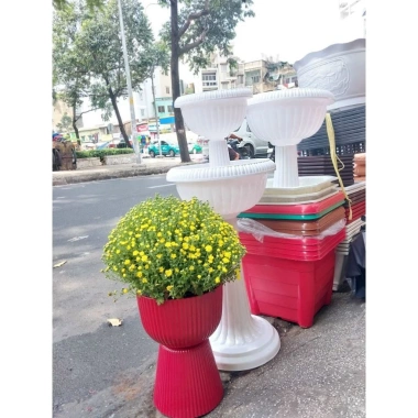 Chậu ly đế chưng cúc mâm xôi R30xC43cm - Giá gốc 185,600đ, Giảm còn 145,000đ 5 Chậu ly đế chưng cúc mâm xôi R30xC43cm - Giá gốc 185,600đ, Giảm còn 145,000đ 5
