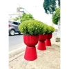 Chậu ly đế chưng cúc mâm xôi R30xC43cm - Giá gốc 185,600đ, Giảm còn 145,000đ 6
