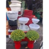 Chậu ly đế chưng cúc mâm xôi R30xC43cm - Giá gốc 185,600đ, Giảm còn 145,000đ 9