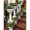 Chậu Ly Nhựa Đế Cao 80x45cm Chính Hãng - Size To Nhất, Dày Bền, Giá Ưu Đãi 185k 3