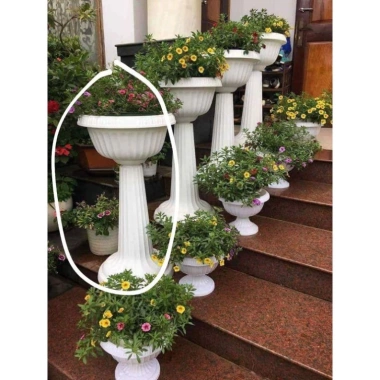Chậu Ly Nhựa Đế Cao 80x45cm Chính Hãng - Size To Nhất, Dày Bền, Giá Ưu Đãi 185k 3