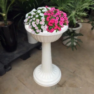 Chậu Ly Nhựa Đế Cao 80x45cm Chính Hãng - Size To Nhất, Dày Bền, Giá Ưu Đãi 185k 8