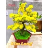 Chậu mai bonsai giả cao cấp, decor bàn & phòng khách, giảm giá 20% còn 290.000₫ 5