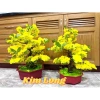 Chậu mai bonsai giả cao cấp, decor bàn & phòng khách, giảm giá 20% còn 290.000₫ 9