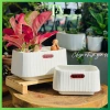 Chậu nhựa chữ Nhật đa năng để bàn, trồng lan, hoa trang trí, phong cách Nhật Bản, cho không gian xanh - giá ưu đãi 45.000₫