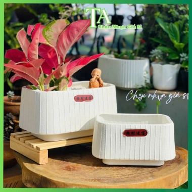 Chậu nhựa chữ Nhật đa năng để bàn, trồng lan, hoa trang trí, phong cách Nhật Bản, cho không gian xanh - giá ưu đãi 45.000₫