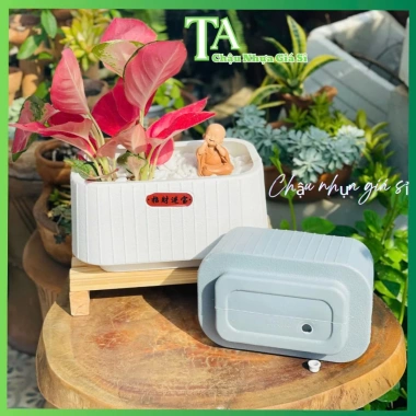 Chậu nhựa chữ Nhật đa năng để bàn, trồng lan, hoa trang trí, phong cách Nhật Bản, cho không gian xanh - giá ưu đãi 45.000₫