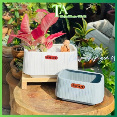 Chậu nhựa chữ Nhật đa năng để bàn, trồng lan, hoa trang trí, phong cách Nhật Bản, cho không gian xanh - giá ưu đãi 45.000₫