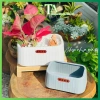 Chậu nhựa chữ Nhật đa năng để bàn, trồng lan, hoa trang trí, phong cách Nhật Bản, cho không gian xanh - giá ưu đãi 45.000₫ 7