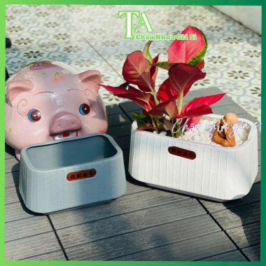 Chậu nhựa chữ Nhật đa năng để bàn, trồng lan, hoa trang trí, phong cách Nhật Bản, cho không gian xanh - giá ưu đãi 45.000₫