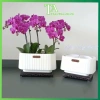 Chậu nhựa chữ Nhật đa năng để bàn, trồng lan, hoa trang trí, phong cách Nhật Bản, cho không gian xanh - giá ưu đãi 45.000₫ 10