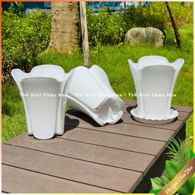 Chậu nhựa dáng cao giá sứ - Trồng cây kiểng, hoa trang trí văn phòng, giảm giá 35k 5