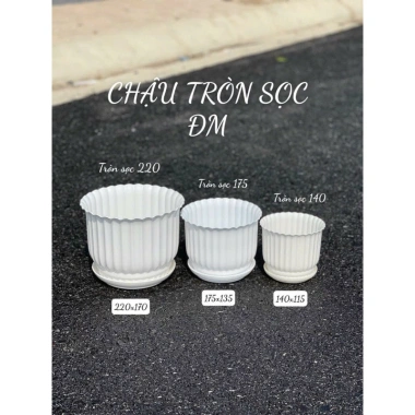 Chậu nhựa để bàn đĩa giả sứ tròn trắng 3 size – 18.000đ, trồng hoa cây cảnh