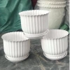 Chậu nhựa để bàn đĩa giả sứ tròn trắng 3 size – 18.000đ, trồng hoa cây cảnh 2