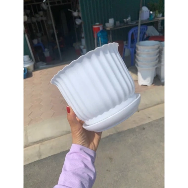 Chậu nhựa để bàn đĩa giả sứ tròn trắng 3 size – 18.000đ, trồng hoa cây cảnh 3 Chậu nhựa để bàn đĩa giả sứ tròn trắng 3 size – 18.000đ, trồng hoa cây cảnh 3