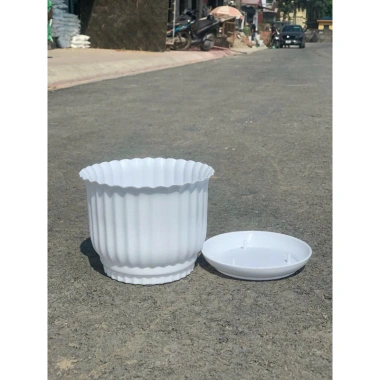 Chậu nhựa để bàn đĩa giả sứ tròn trắng 3 size – 18.000đ, trồng hoa cây cảnh