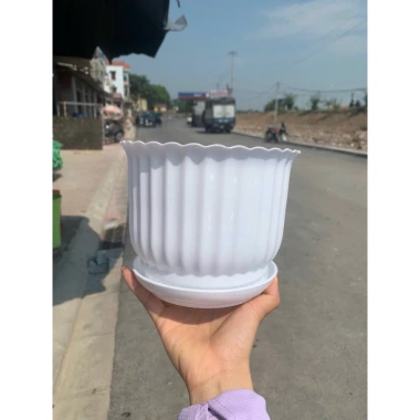 Chậu nhựa để bàn đĩa giả sứ tròn trắng 3 size – 18.000đ, trồng hoa cây cảnh 10 Chậu nhựa để bàn đĩa giả sứ tròn trắng 3 size – 18.000đ, trồng hoa cây cảnh 10