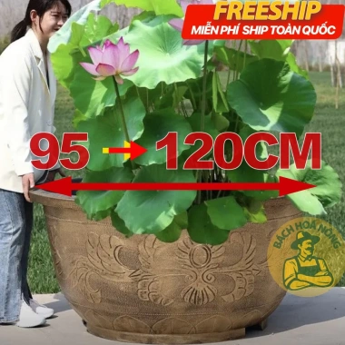 Chậu nhựa đồng hoa cổ điển size lớn - Trồng sen, cây cảnh, nuôi cá, súng, giảm giá 19%
