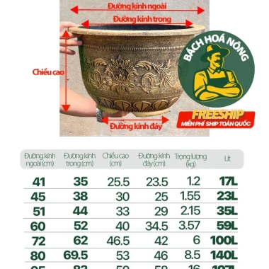 Chậu nhựa đồng hoa cổ điển size lớn - Trồng sen, cây cảnh, nuôi cá, súng, giảm giá 19%
