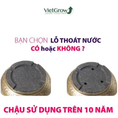 Chậu nhựa đồng hoa cổ điển size lớn - Trồng sen, cây cảnh, nuôi cá, súng, giảm giá 19%