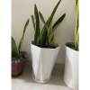Chậu nhựa kim cương 30x26 cm dày bóng - Đủ size, giá chỉ 35.000₫ 5