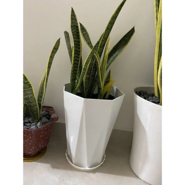Chậu nhựa kim cương 30x26 cm dày bóng - Đủ size, giá chỉ 35.000₫ 5