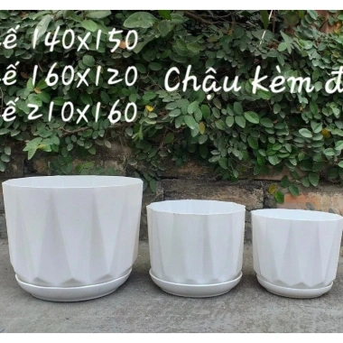 Chậu nhựa Kim Cương Mối trắng 3 size và đĩa giả sứ - Đặt bàn, cây cảnh, giá 17.900₫ 2
