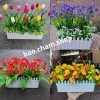 Chậu nhựa trắng đẹp bền, hàng rào tre - Trồng cây hoa đẹp, chỉ 13.000₫