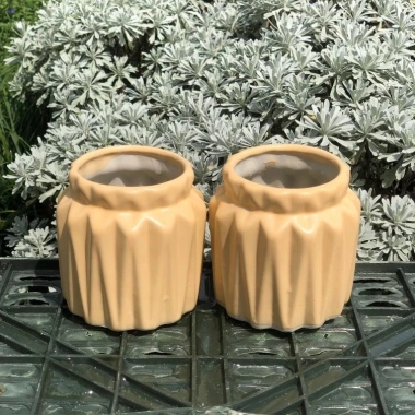 Chậu Sen Đá Gốm Tráng Men Dáng Khía Cute 9cm Cao 7cm Miệng Nhiều Màu Giá 38.000₫