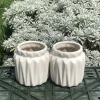 Chậu Sen Đá Gốm Tráng Men Dáng Khía Cute 9cm Cao 7cm Miệng Nhiều Màu Giá 38.000₫ 5