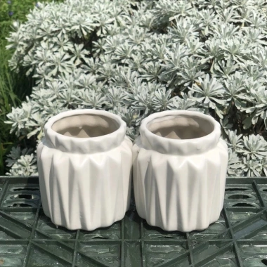 Chậu Sen Đá Gốm Tráng Men Dáng Khía Cute 9cm Cao 7cm Miệng Nhiều Màu Giá 38.000₫