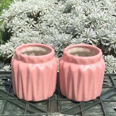 Chậu Sen Đá Gốm Tráng Men Dáng Khía Cute 9cm Cao 7cm Miệng Nhiều Màu Giá 38.000₫ 6 Chậu Sen Đá Gốm Tráng Men Dáng Khía Cute 9cm Cao 7cm Miệng Nhiều Màu Giá 38.000₫ 6