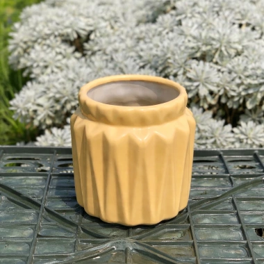 Chậu Sen Đá Gốm Tráng Men Dáng Khía Cute 9cm Cao 7cm Miệng Nhiều Màu Giá 38.000₫