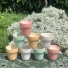 Chậu Sen Đá Mini Hình Trụ Pastel 7cm Gốm Tráng Men Decor Bàn Làm Việc Giá ưu đãi 22.000đ