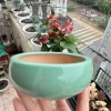 Chậu sứ 12x5cm trồng sen đá, xương rồng - Tiểu cảnh sang trọng, giảm còn 30.000đ 2
