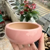 Chậu sứ 12x5cm trồng sen đá, xương rồng - Tiểu cảnh sang trọng, giảm còn 30.000đ 3