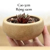 Chậu sứ 12x5cm trồng sen đá, xương rồng - Tiểu cảnh sang trọng, giảm còn 30.000đ 8