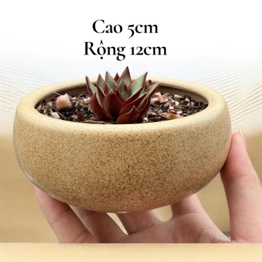 Chậu sứ 12x5cm trồng sen đá, xương rồng - Tiểu cảnh sang trọng, giảm còn 30.000đ 8