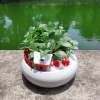 Chậu sứ Ang Bò cong tiểu cảnh để bàn - Thiết kế xinh xắn, giá ưu đãi 38.500 đồng 2