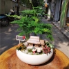 Chậu sứ Ang Bò cong tiểu cảnh để bàn - Thiết kế xinh xắn, giá ưu đãi 38.500 đồng 4